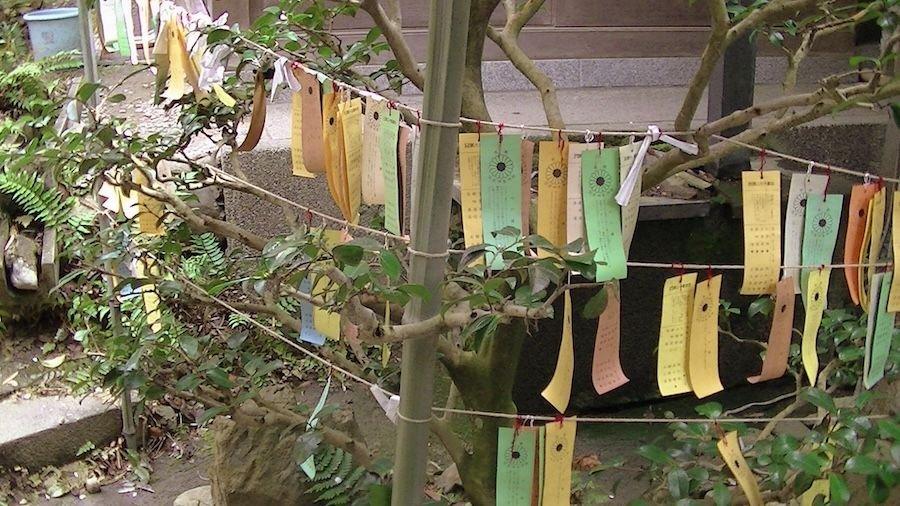 recomment-pack-image-1