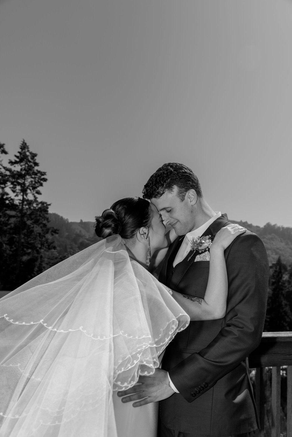 carousel-hero-element image-1