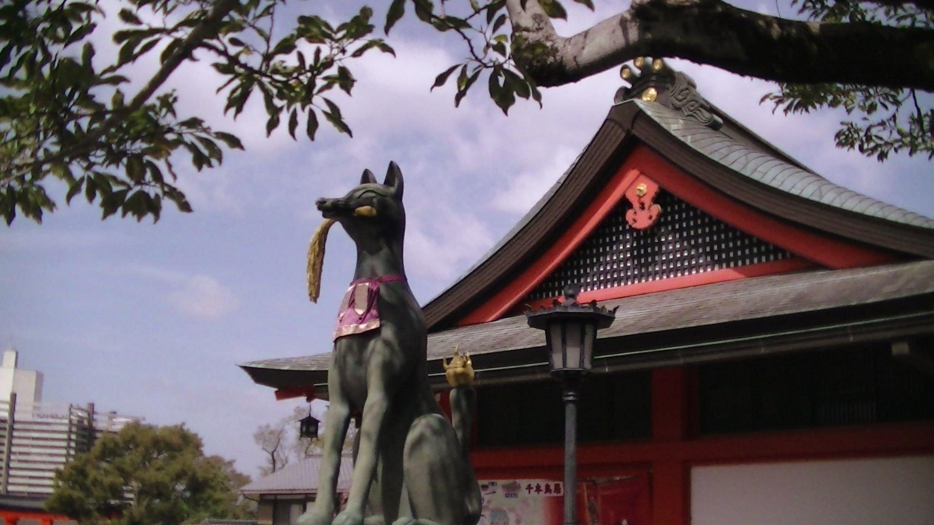 carousel-hero-element image-0