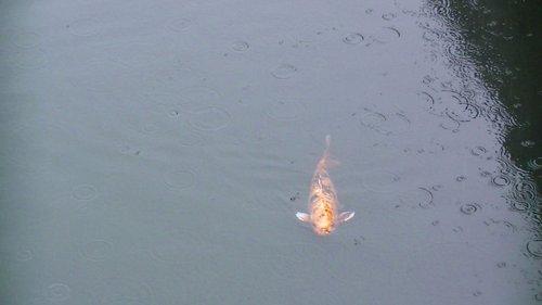 mobile - carousel-hero-element image-1