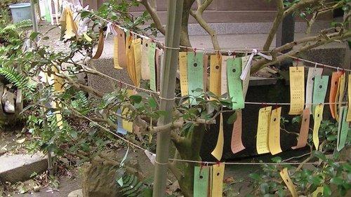 mobile - carousel-hero-element image-0