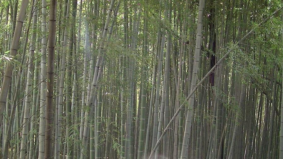 carousel-hero-element image-2