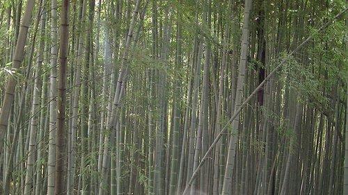 mobile - carousel-hero-element image-0