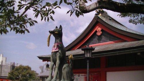 mobile - carousel-hero-element image-0